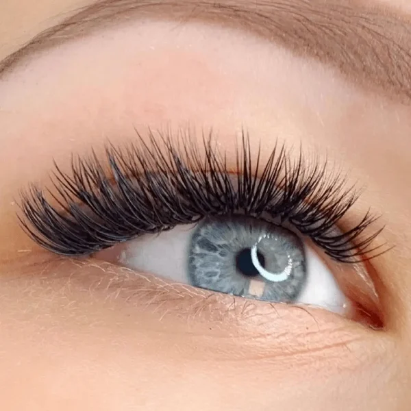 Wimpern_Einzelwimper System